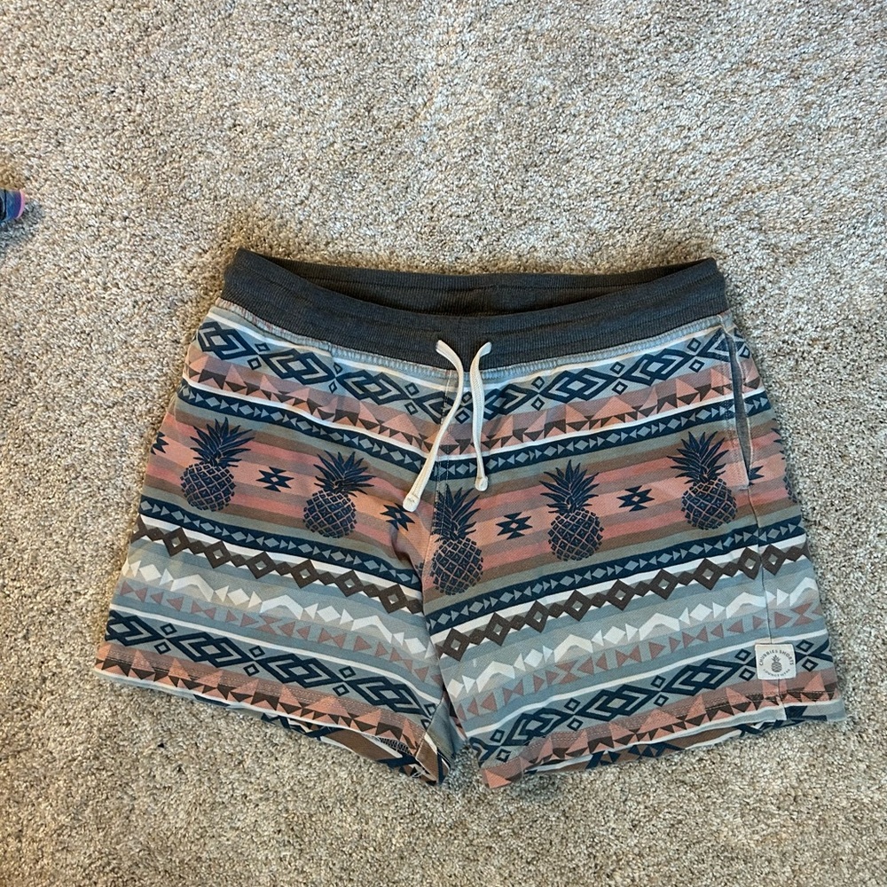 Chubbies Shorts